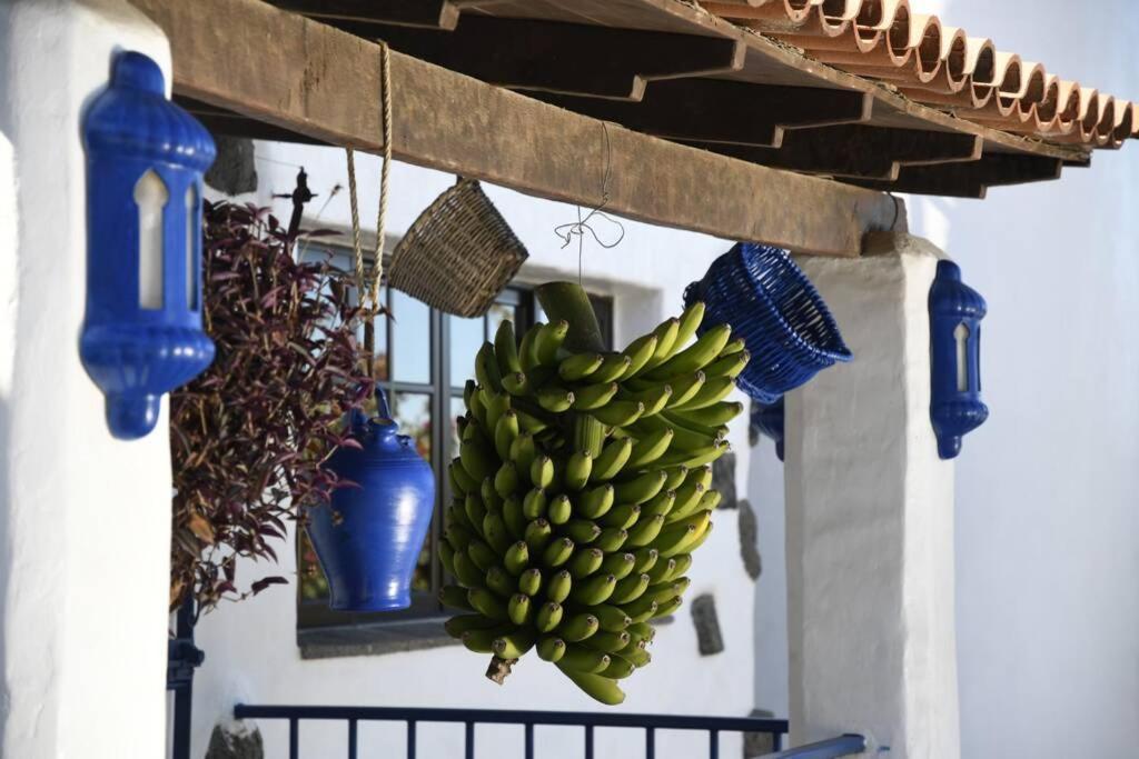 Finca Angelus Apartment Syrah With Amazing Views La Matanza De Acentejo Exterior foto